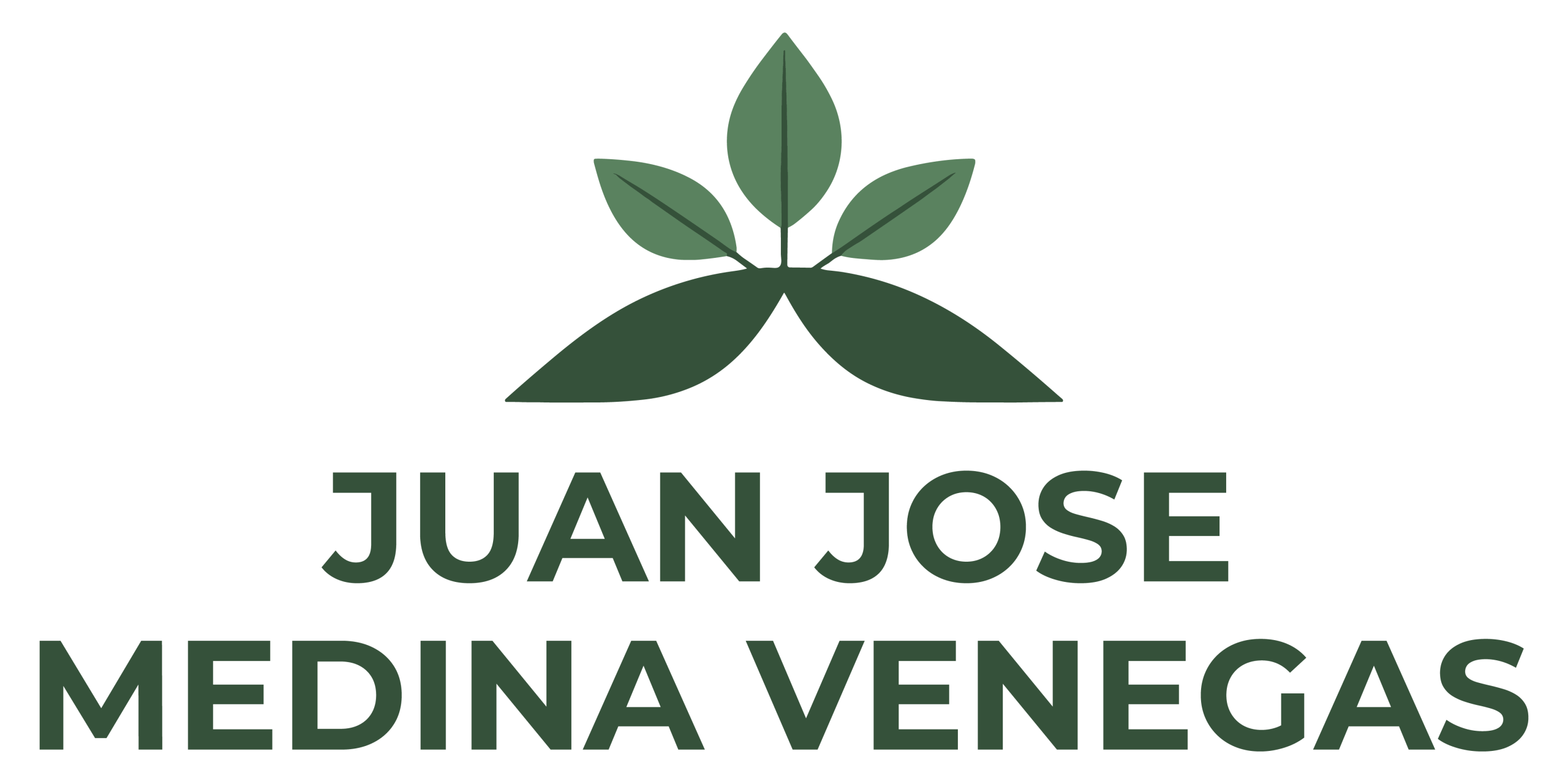 JUAN JOSE MEDINA VENEGAS Logo Principal